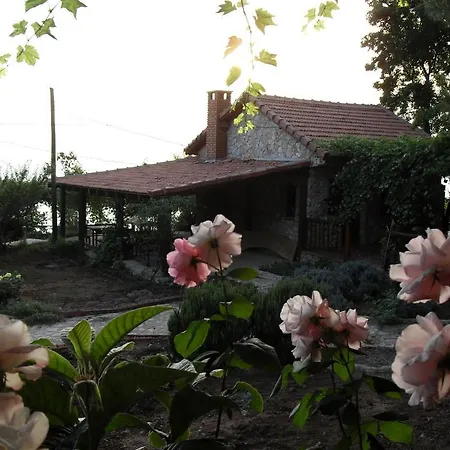 Faralya Hotel Hotel Faralya